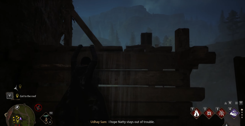 Персонаж карабкается по деревянной стене ночью в Hogwarts Legacy