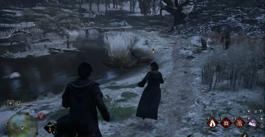 Персонаж Hogwarts Legacy следует за Поппи у реки зимой