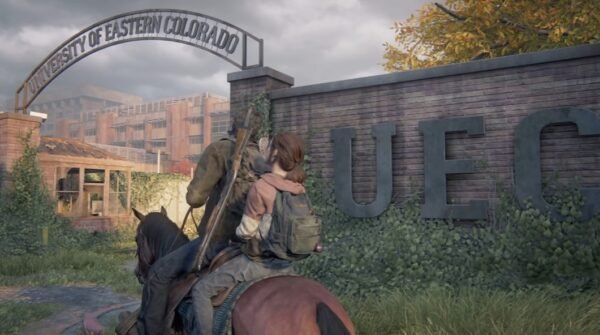 Университет (University)